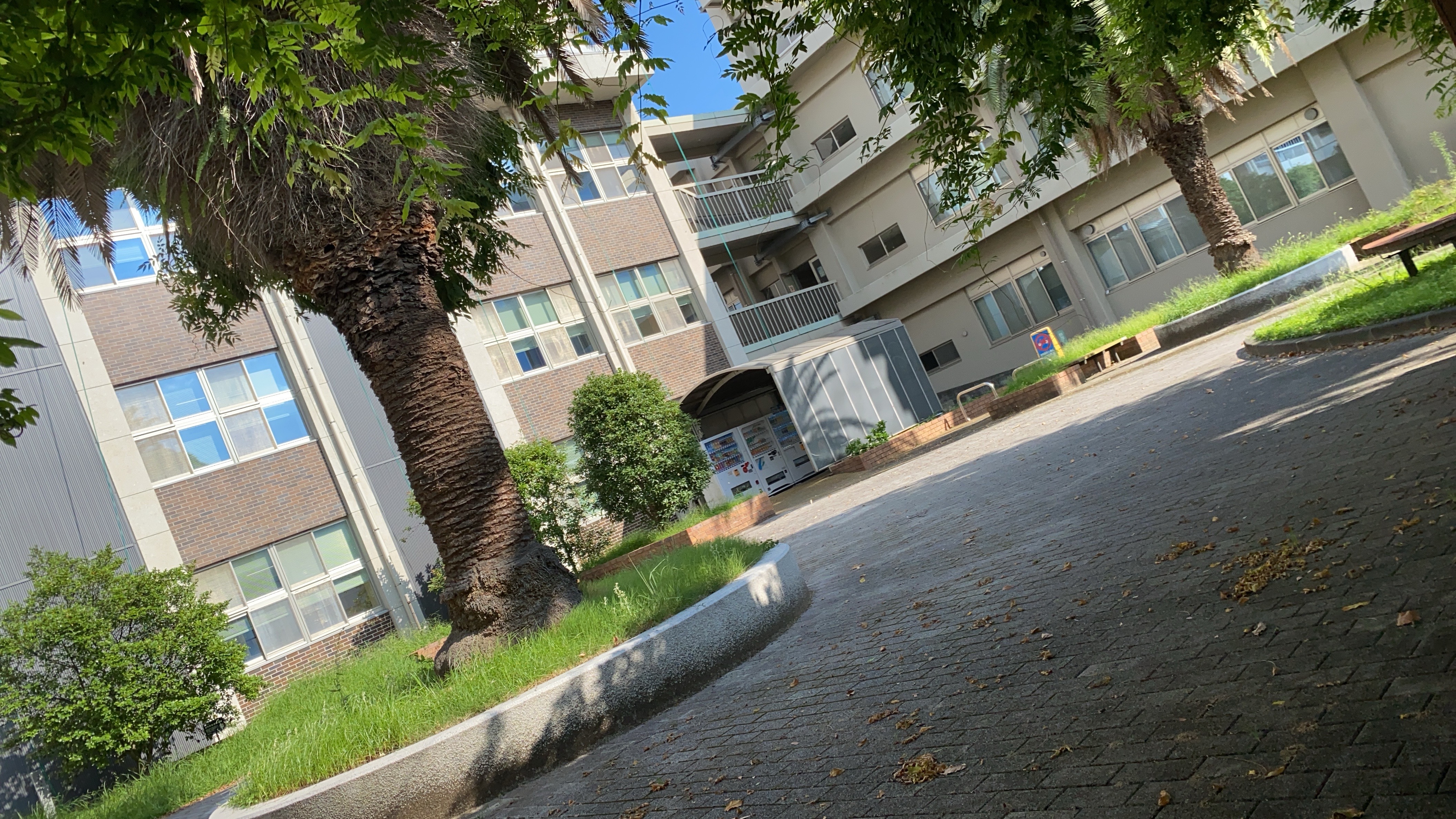 Courtyard of Ehime University